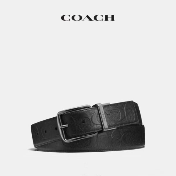 Accessories - 图片 9