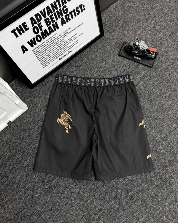 Shorts - 图片 3